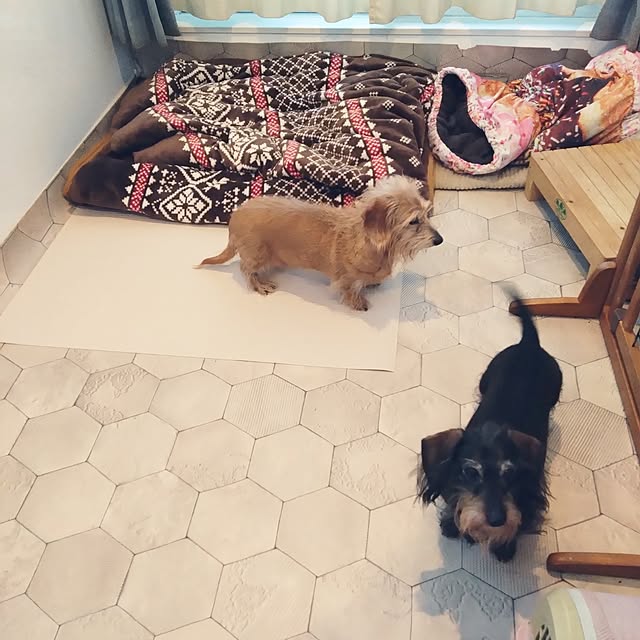 chocococoaさんの実例写真