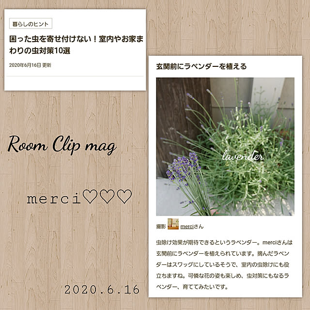 merciさんの実例写真