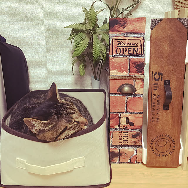 shigimiさんの実例写真