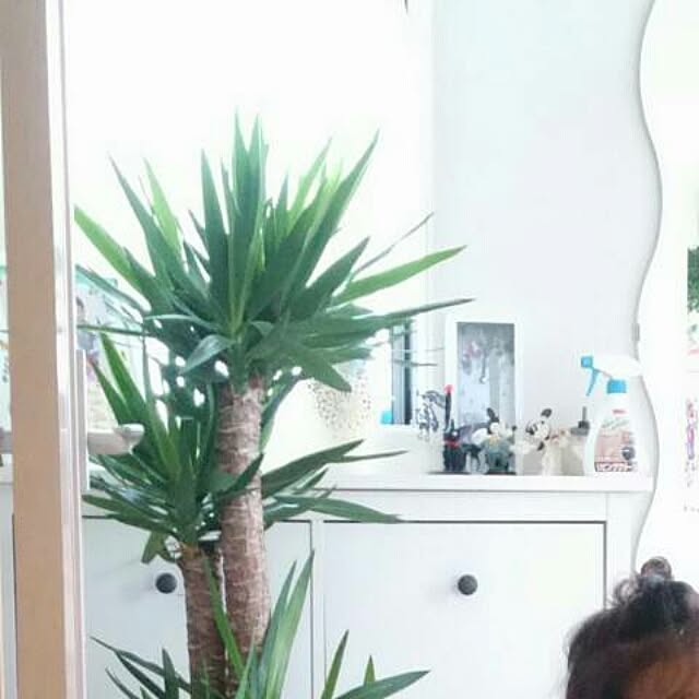 yukixx328さんの実例写真