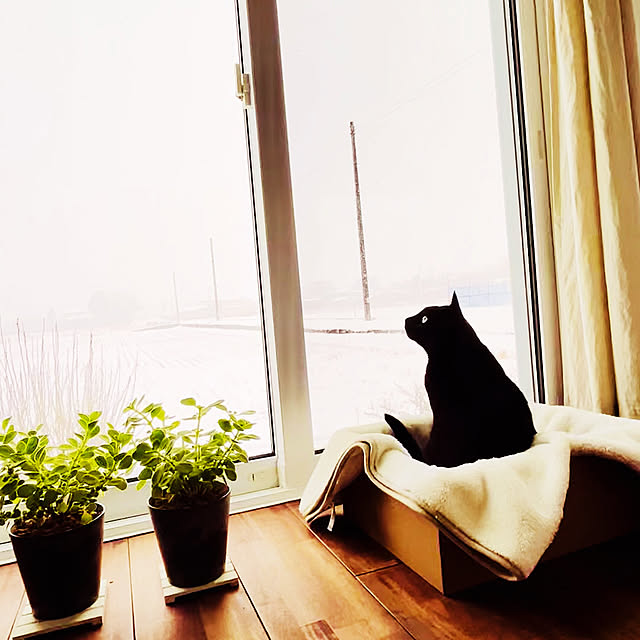 R.さんの実例写真