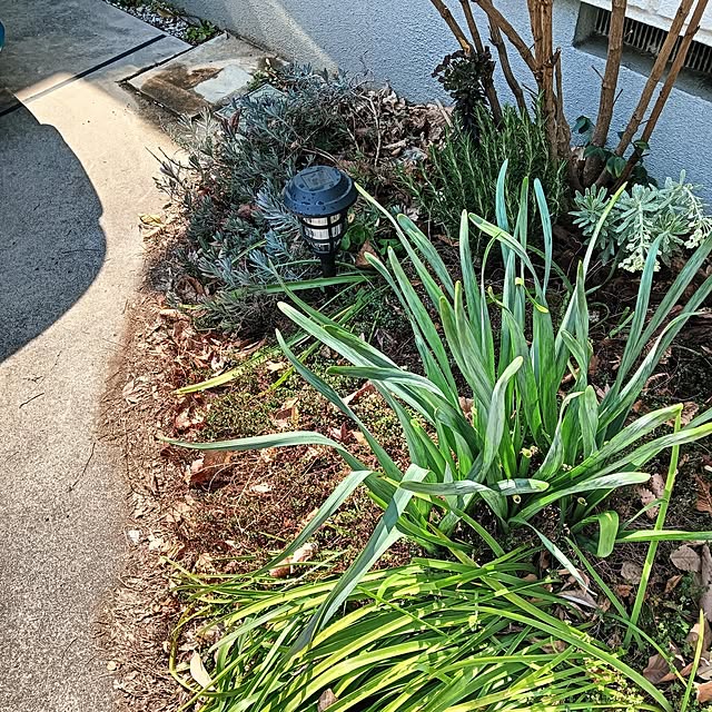saki++さんの部屋