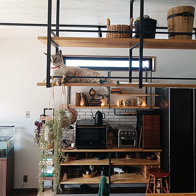 Atelier_tamakiさんの部屋