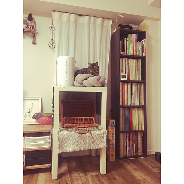 nocomomさんの実例写真