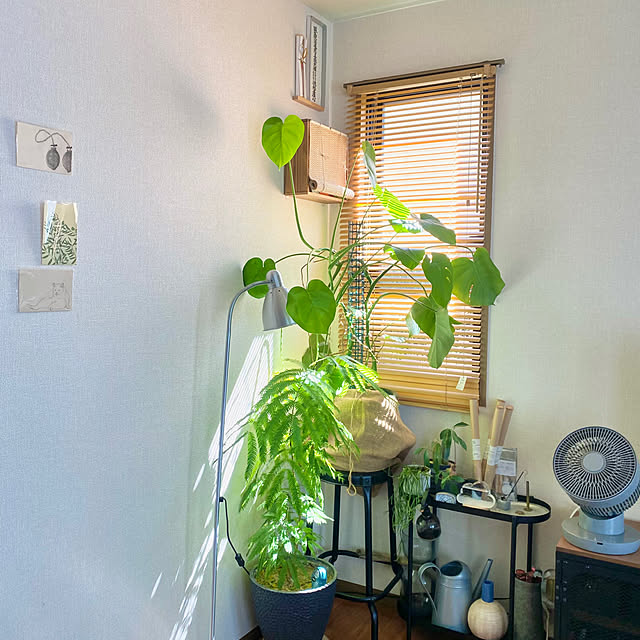 リビング/観葉植物/IKEA/賃貸/DIY...などのインテリア実例 - 2024-08-22 10:42:51