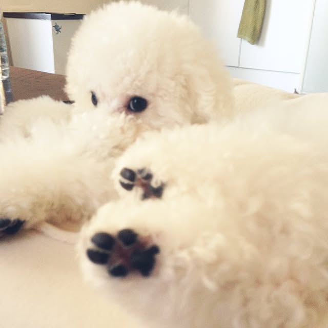 ucaさんの実例写真