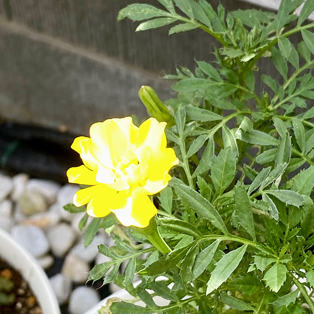 YuuKoさんの部屋