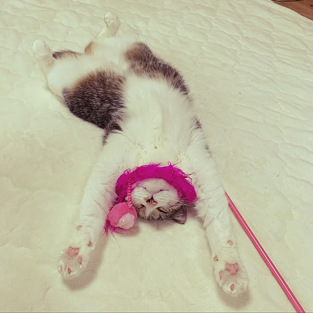 rioさんの実例写真