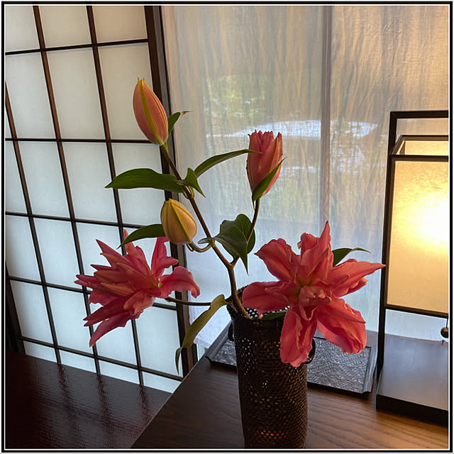 mamizaさんの実例写真