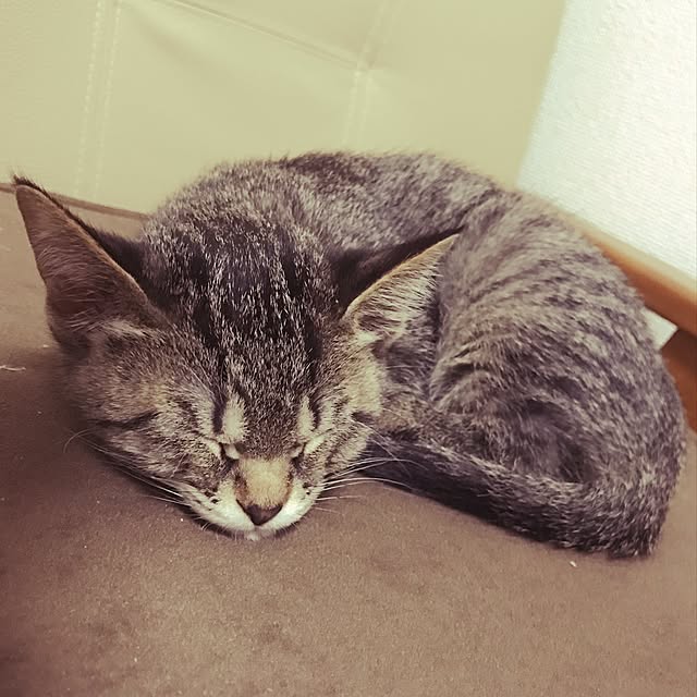 makikoさんの実例写真