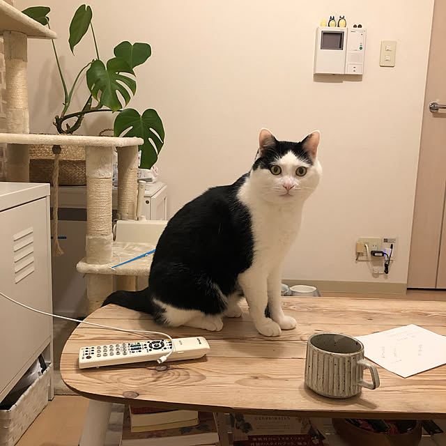 k.Iさんの実例写真