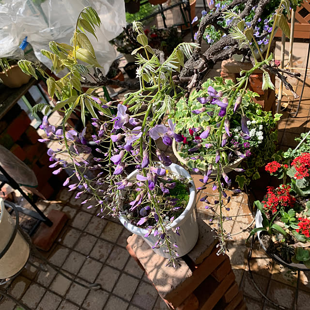 Aqettyさんの部屋