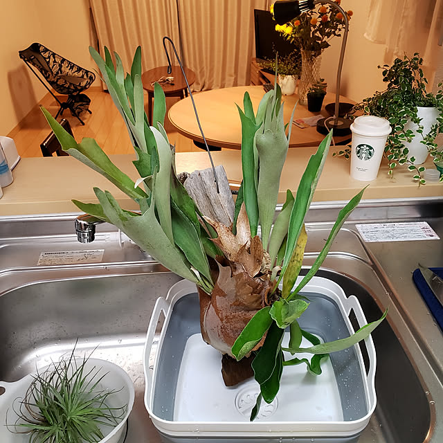 ytom999さんの実例写真