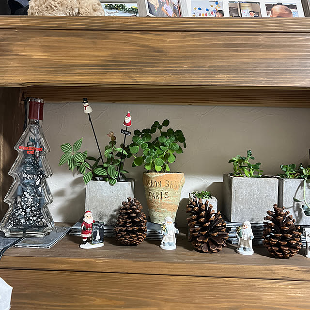 halu8686さんの実例写真