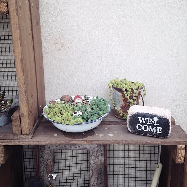 mauveさんの実例写真
