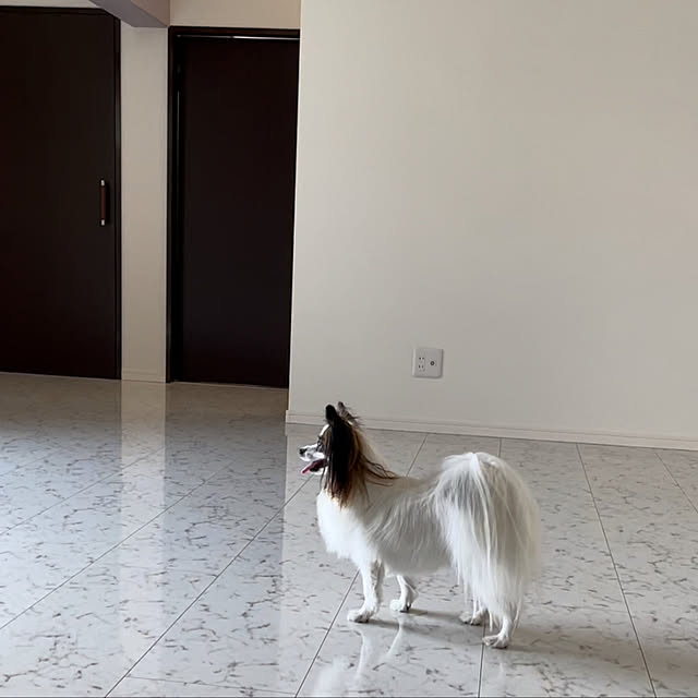 lucia.blumoonさんの実例写真