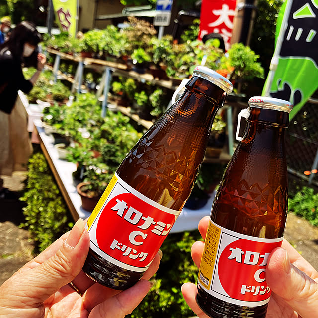 実例写真