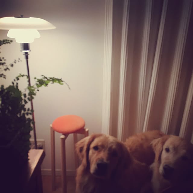 Rose0930さんの実例写真