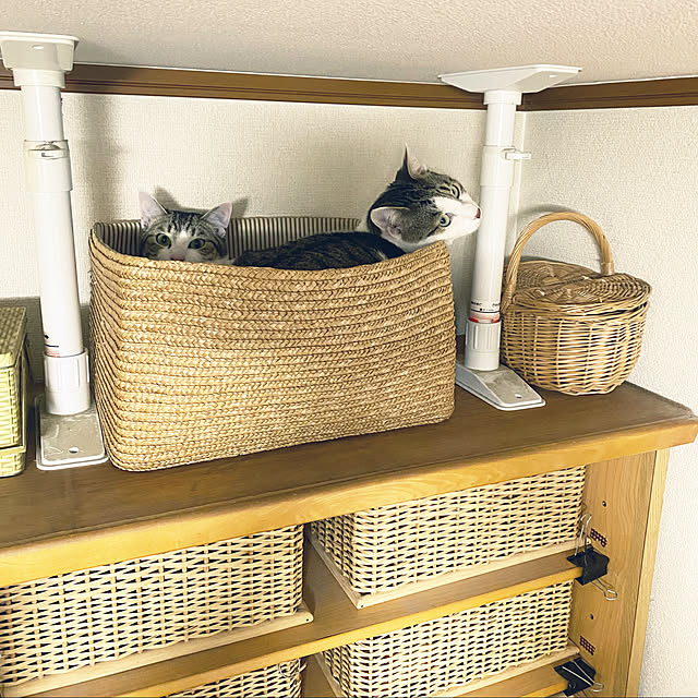 Lufuさんの実例写真