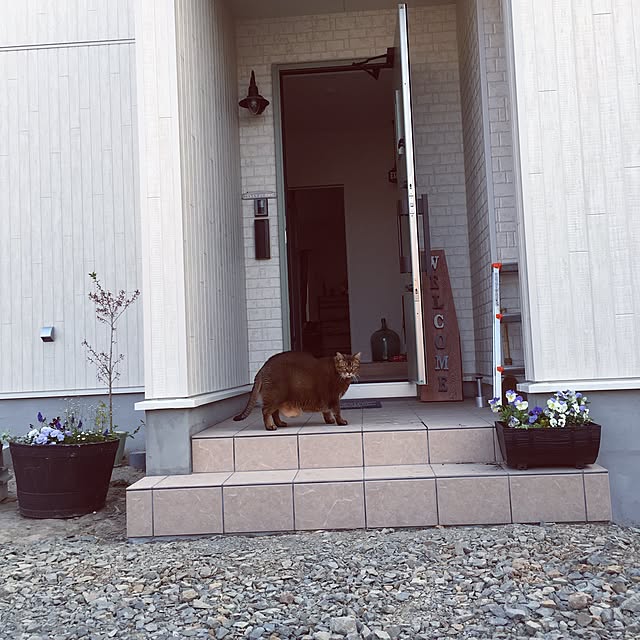 muuさんの実例写真