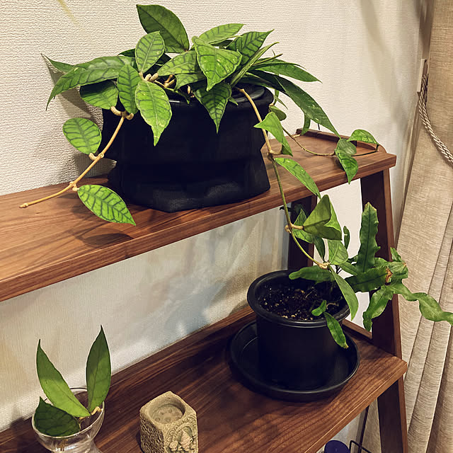 matthewさんの部屋