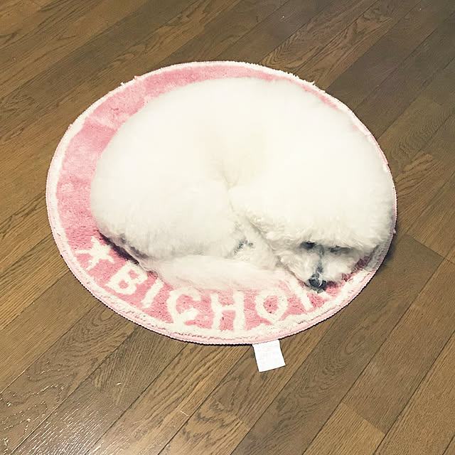 ashimijichibikoさんの実例写真