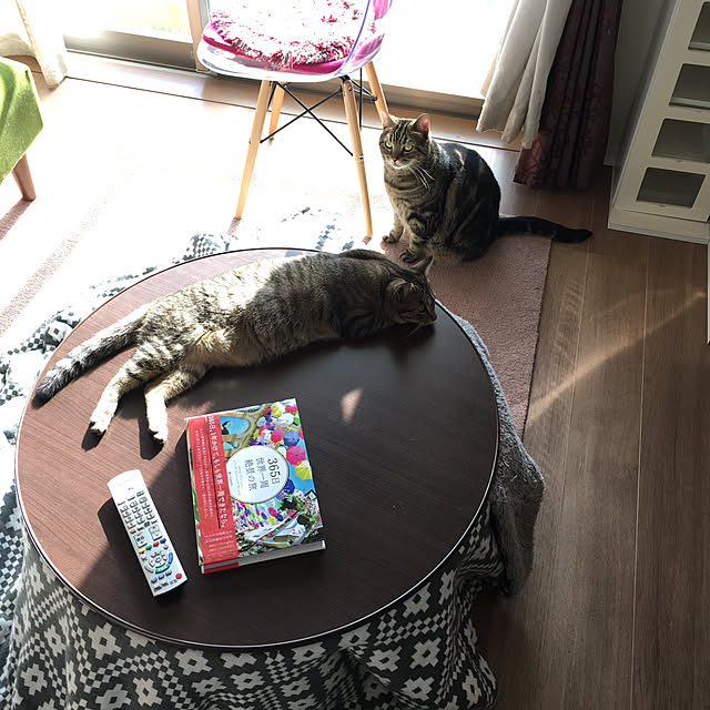 mikomaruさんの実例写真