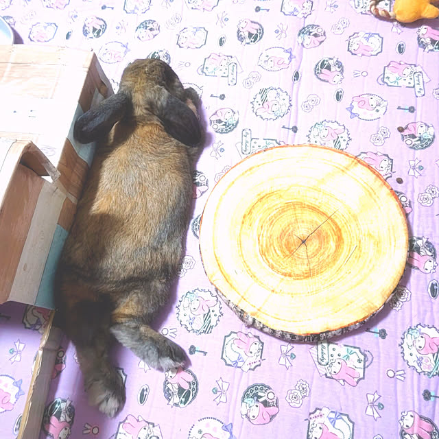 mariaさんの実例写真