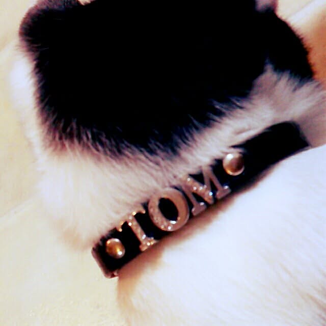 komeさんの実例写真