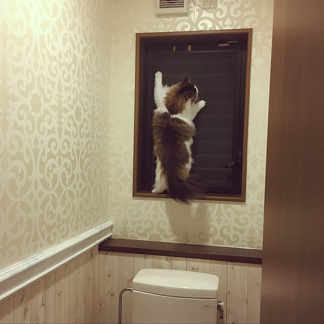 uraraさんの実例写真