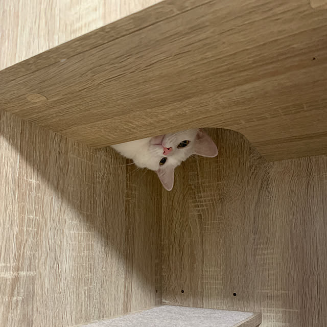 keiさんの実例写真