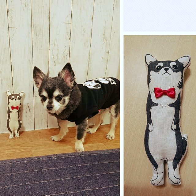 lovepeaceさんの実例写真