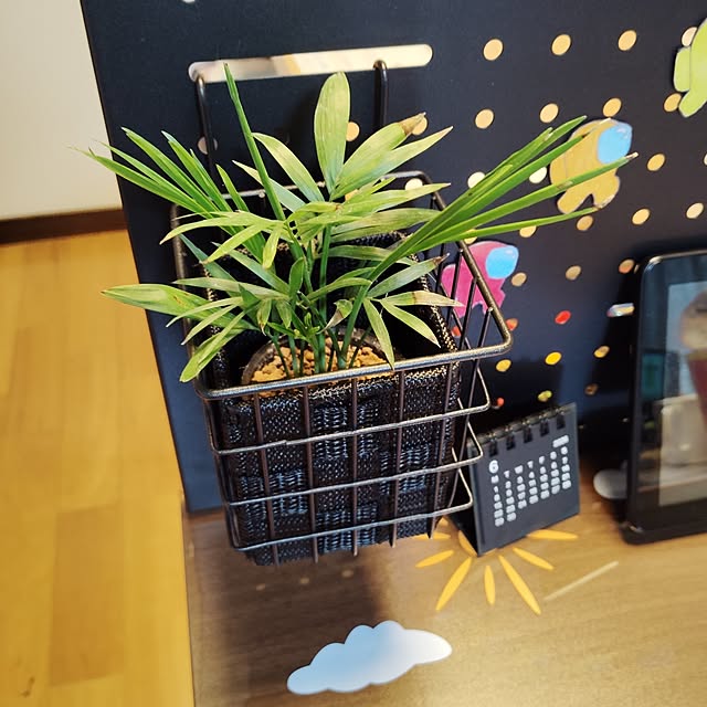 momomamaさんの部屋