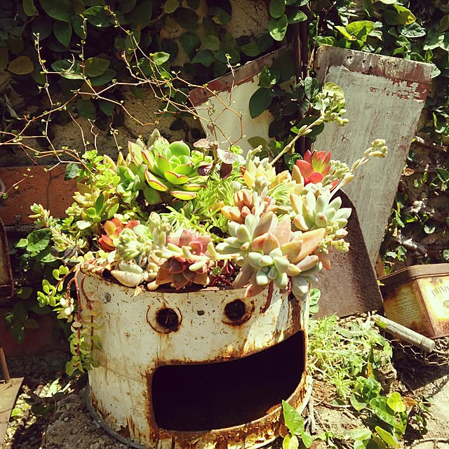 73さんの実例写真