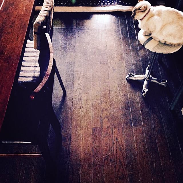 Naoki.さんの実例写真