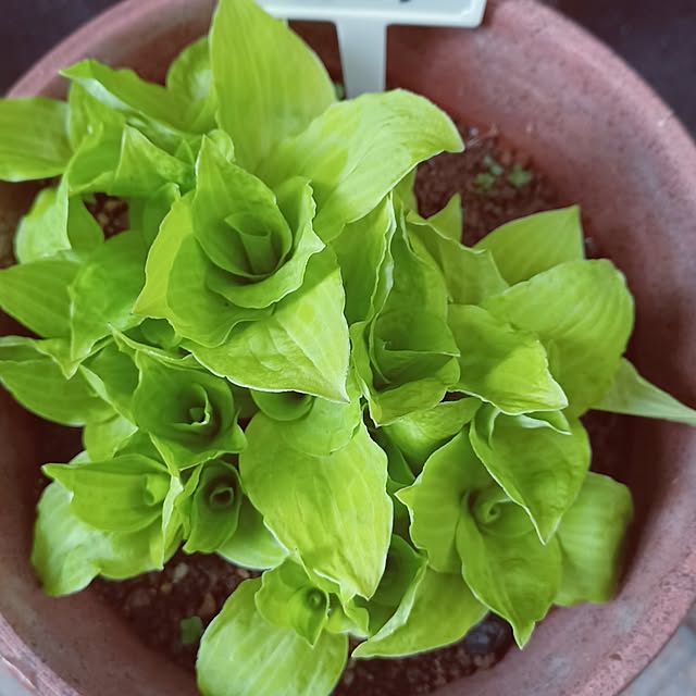 hiro.904さんの部屋