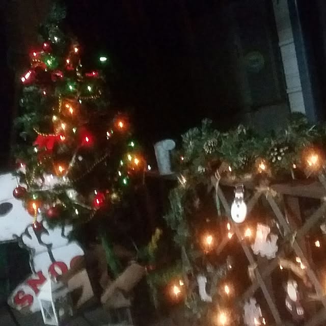 jjloveさんの実例写真