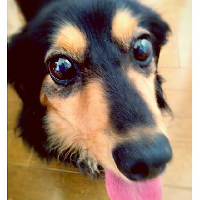 mayuさんの実例写真