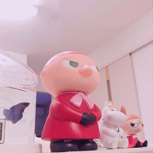 Ruiさんの実例写真