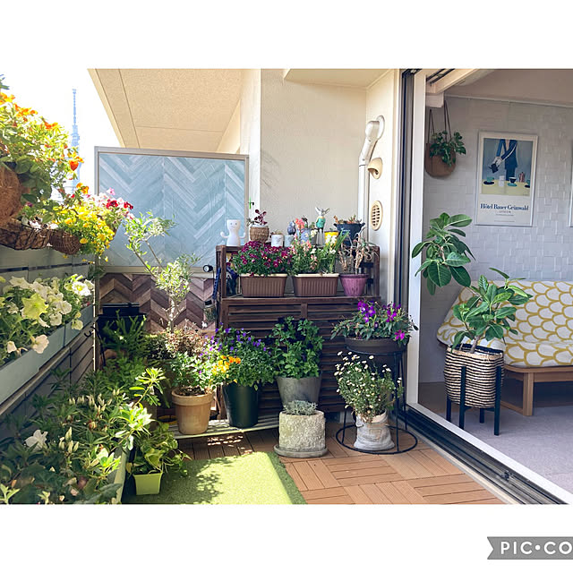 marukoさんの部屋