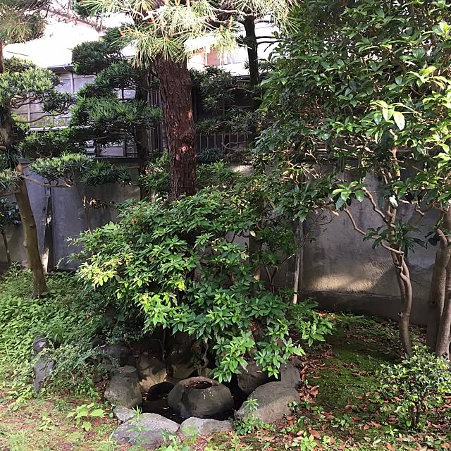 YOSHIさんの実例写真