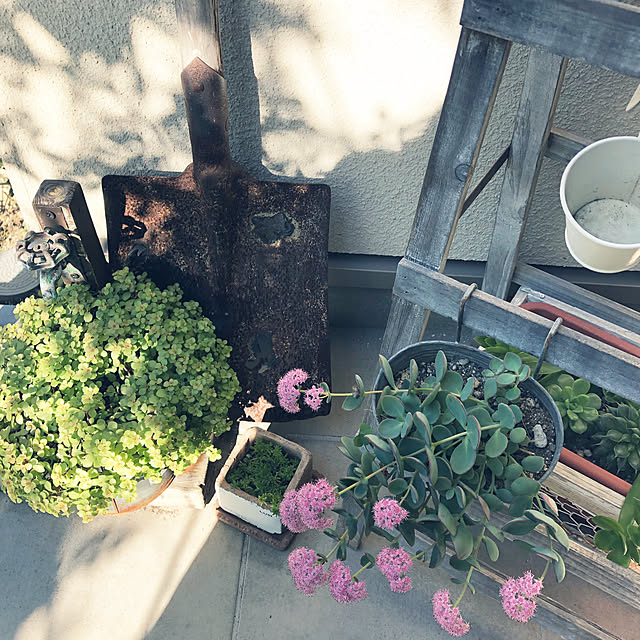 moonさんの実例写真