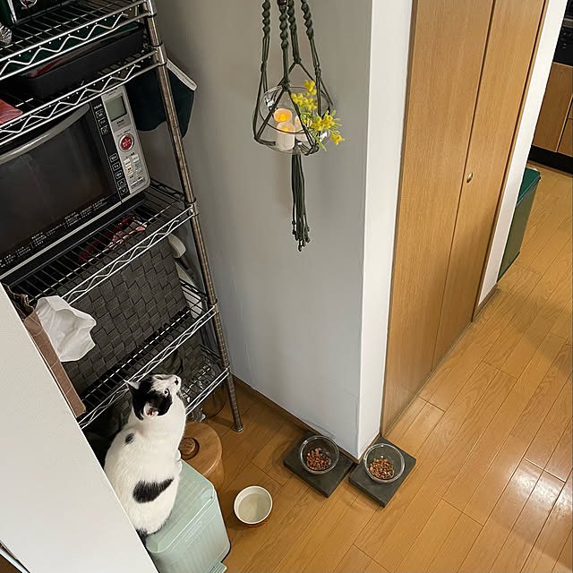 nobikoさんの実例写真