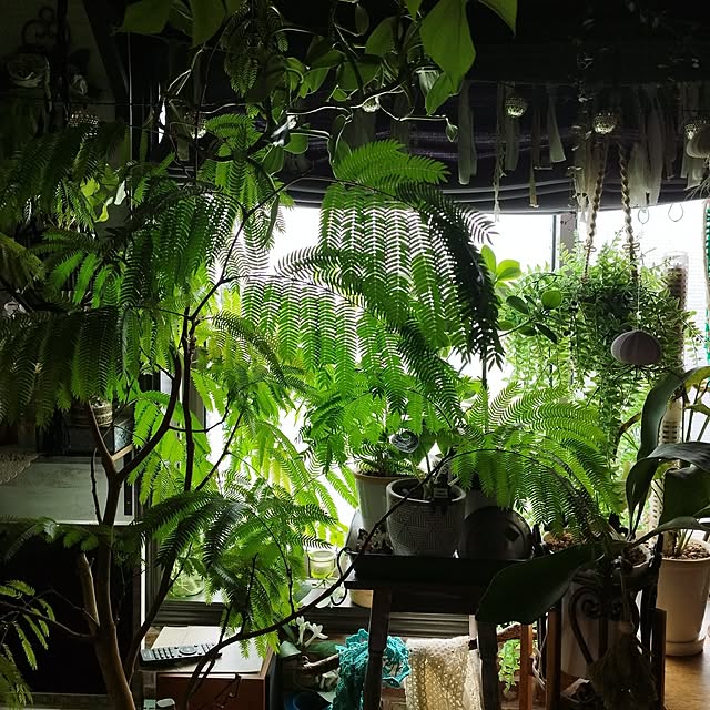 部屋全体/癒し/滑り込み参加/休日は休めない/雑貨好き...などのインテリア実例 - 2023-11-26 23:46:31