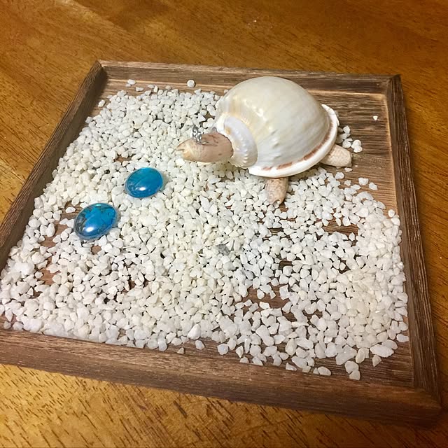 kojiro120513さんの実例写真