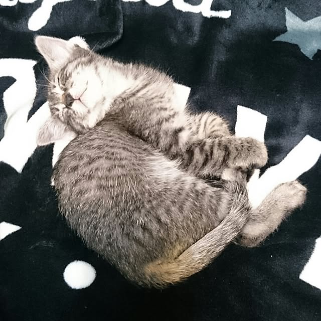 himeさんの実例写真