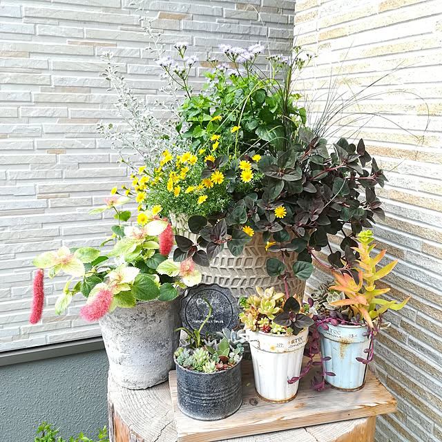 Jijiさんの実例写真