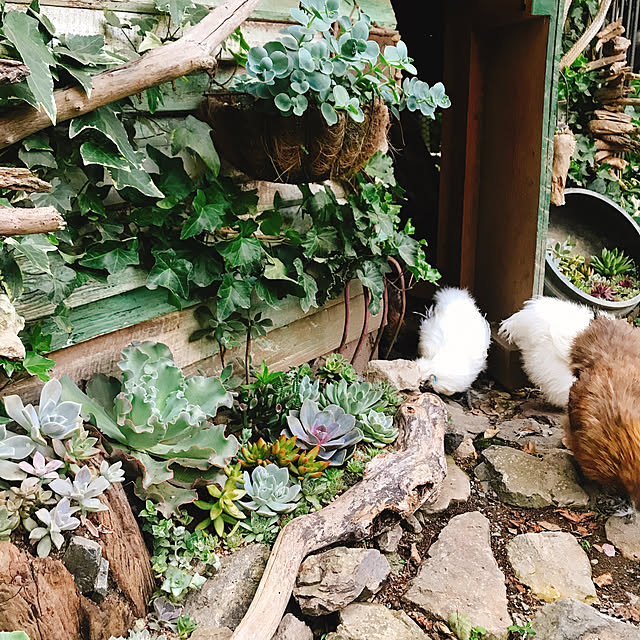 pepeさんの実例写真