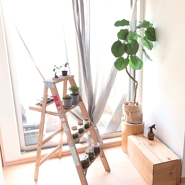 sacchiさんの実例写真