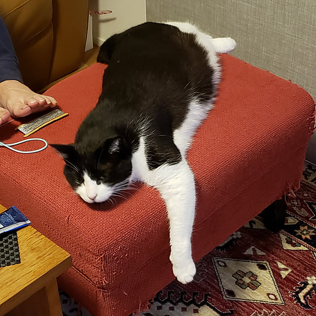 nyagosanさんの実例写真